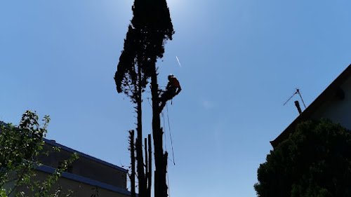 Altibranche-Elagage — Élagueur à Toulouse