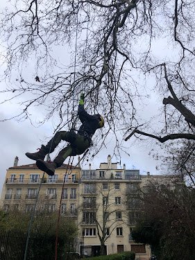 Les Bûcherons de Paris — Menuisier à Paris