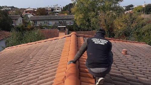 Loustalot Rénovation - Couvreur à Toulouse — Couvreur à Toulouse