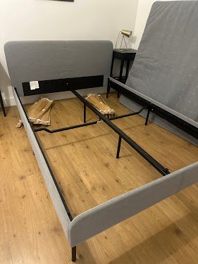 Traitement punaises de lit Paris — Dératisation à Paris