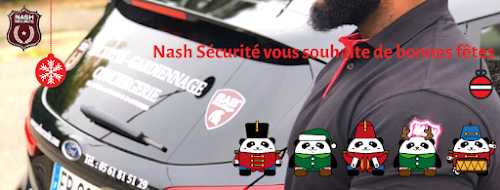 NASH Sécurité — Vidéosurveillance à Toulouse