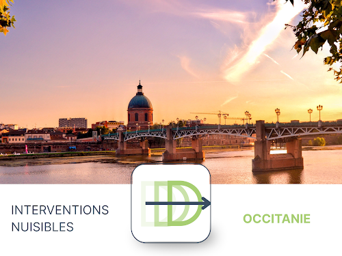 Interventions Nuisibles — Dératisation à Toulouse