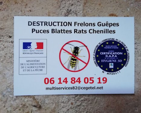 MULTI-SERVICES PROPRETE HYGIENE — Dératisation à Toulouse