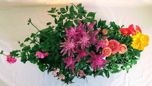 Ma Petite Jardinière — Jardinier à Paris