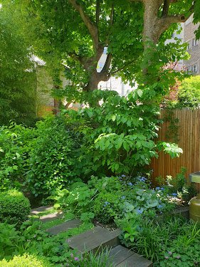 Kevin Clare Paysagiste — Jardinier à Marseille