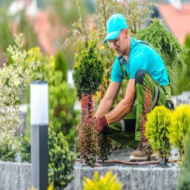 Jardiniers SAP Lyon — Jardinier à Lyon