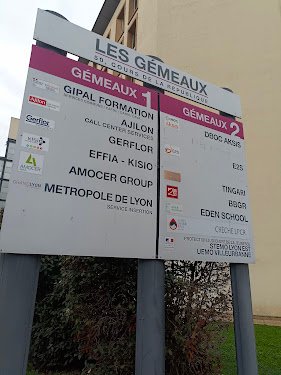 Gouttières Lyon — Façadier à Lyon