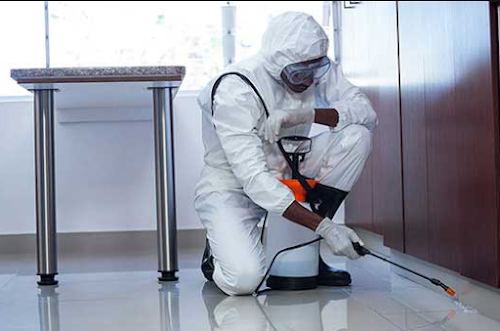 NI NETTOYAGE INDUSTRIEL, DÉSINFECTION ET DECONTAMINATION TOUS LOCAUX PARIS ET IDF — Nettoyage fin de chantier à Paris