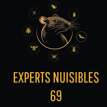 experts nuisibles 69 — Dératisation à Lyon
