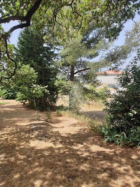 Plantier Jardin Élagage — Jardinier à Marseille