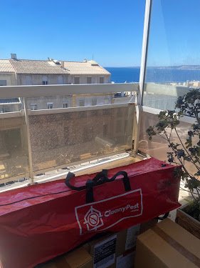 Nuisibles Chrono — Désinsectisation à Marseille
