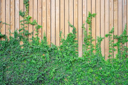 ART PARC - Paysagistes Paris — Jardinier à Paris