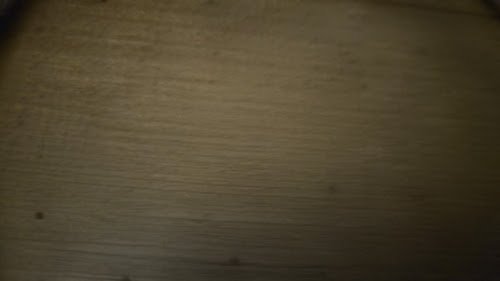 Sohyca Société d'Hygiène et de Chimie Appliquée — Désinsectisation à Marseille