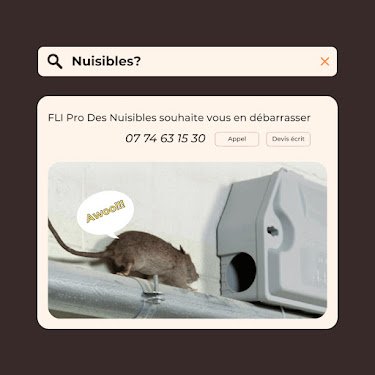 fli pro des nuisibles — Dératisation à Lyon