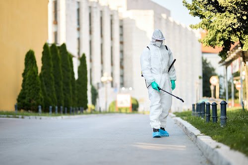 La Phocéenne — Désinsectisation à Marseille