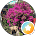 F L les Jardins D Eden — Paysagiste à Lyon