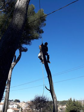 Noel elagage Élagueur à Meyzieu (69330) - Élagage - Abattage d'arbres création paysagistes pose de pelouses — Élagueur à Lyon