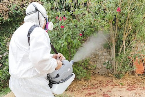 Hygiene Partner - Société antinuisibles à Marseille — Désinsectisation à Marseille