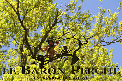 Le baron perché - entreprise d'élagage — Élagueur à Lyon