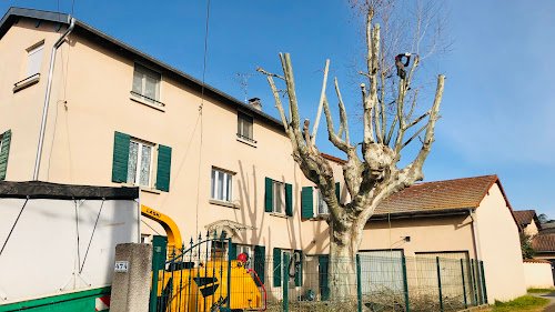 A et J Plants — Élagueur à Lyon