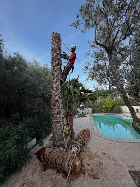 ADM - ELAGUEUR | PAYSAGISTE — Jardinier à Marseille