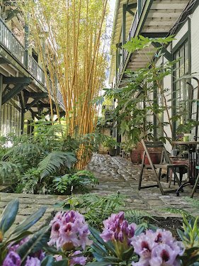 L'Herbe Tendre — Élagueur à Paris