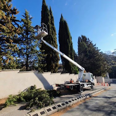 RF élagage Marseille 13 : Élagueur abattage d'arbre jardinage — Élagueur à Marseille